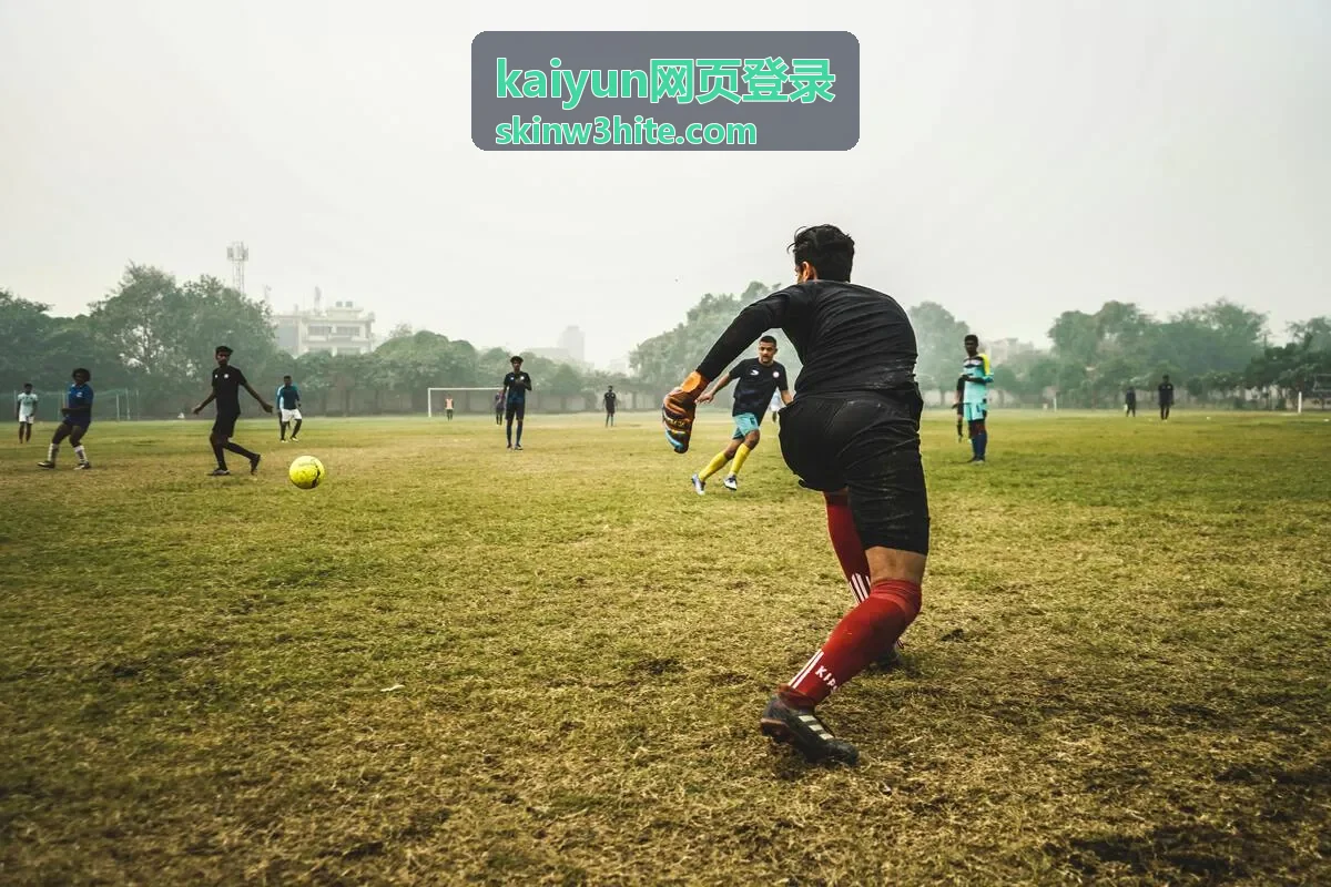 kaiyun网页登录白曜会员内容更新速览封面