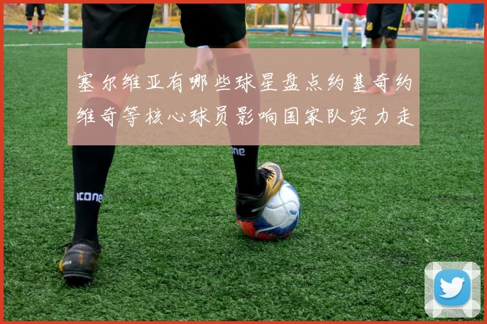 塞尔维亚有哪些球星盘点约基奇约维奇等核心球员影响国家队实力走向