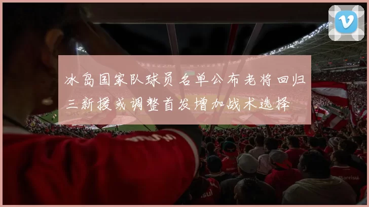 冰岛国家队球员名单公布老将回归三新援或调整首发增加战术选择