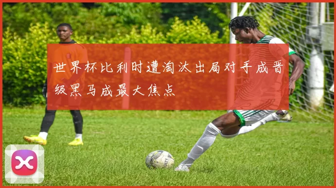 世界杯比利时遭淘汰出局对手成晋级黑马成最大焦点