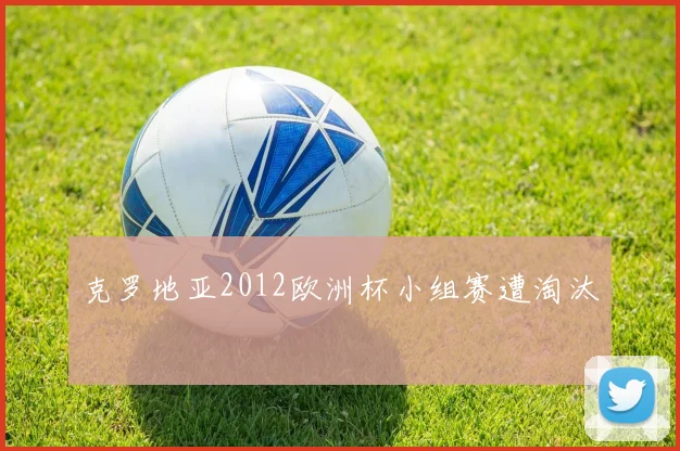 克罗地亚2012欧洲杯小组赛遭淘汰