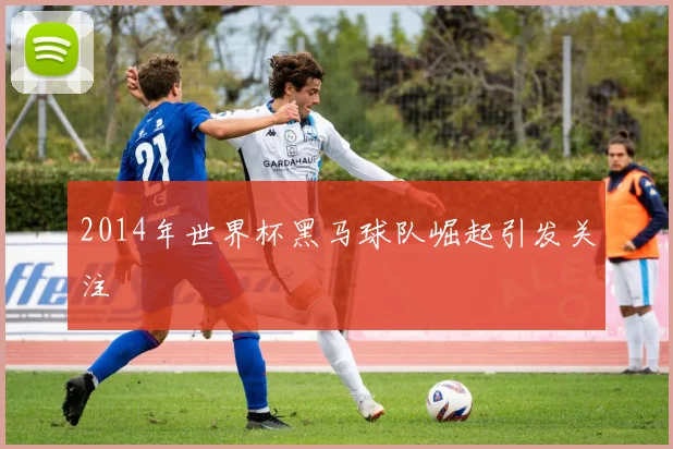 2014年世界杯黑马球队崛起引发关注