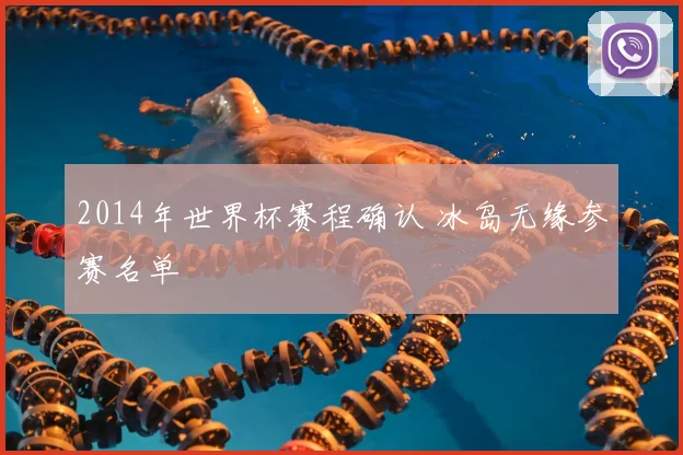 2014年世界杯赛程确认 冰岛无缘参赛名单