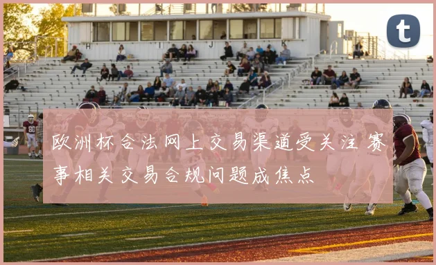 欧洲杯合法网上交易渠道受关注 赛事相关交易合规问题成焦点