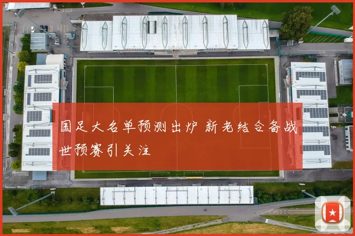国足大名单预测出炉 新老结合备战世预赛引关注