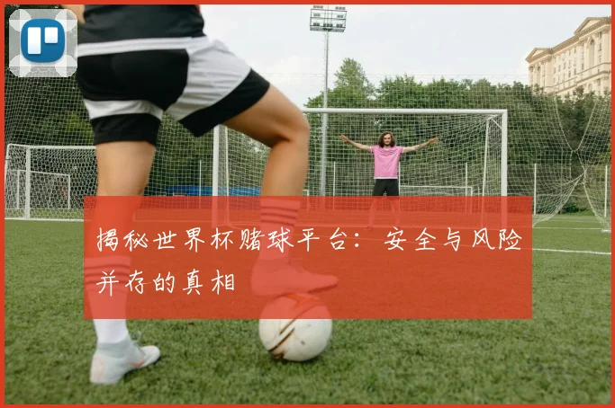 揭秘世界杯赌球平台：安全与风险并存的真相
